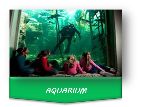 Edu Excursions – Creative Origin Solutions