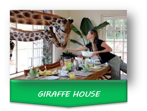 Edu Excursions – Creative Origin Solutions